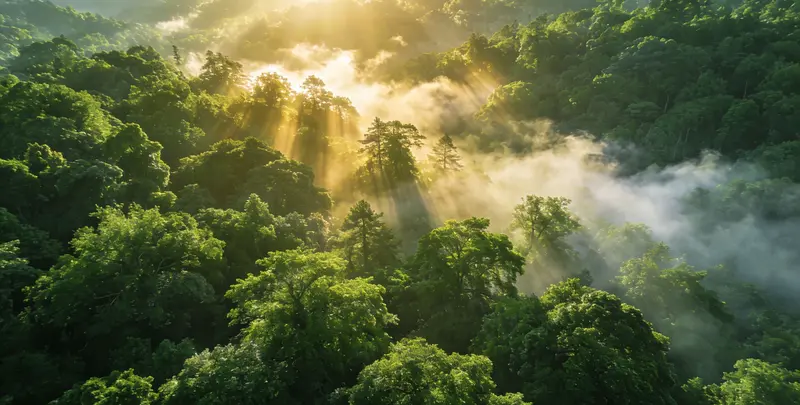 衢州肺癌靶向120基因检测及PDL122C3表达检测套餐（组织）图片1