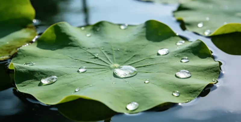 衢州乳腺癌21基因mRNA表达分析图片1